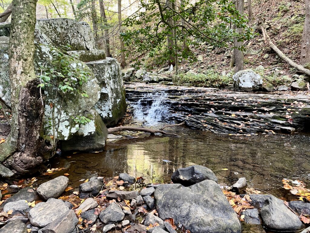 Cloudland Canyon State Park