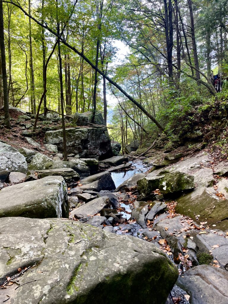 Cloudland Canyon State Park