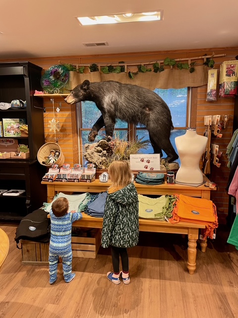 Cloudland Canyon State Park visitors center