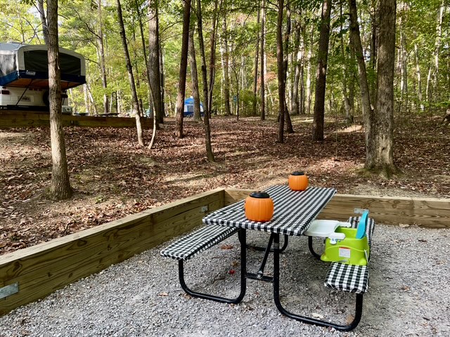 site 36 picnic table 