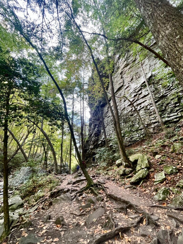 Cloudland Canyon State Park