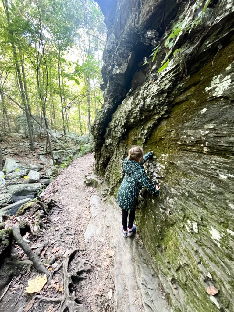 Cloudland Canyon State Park