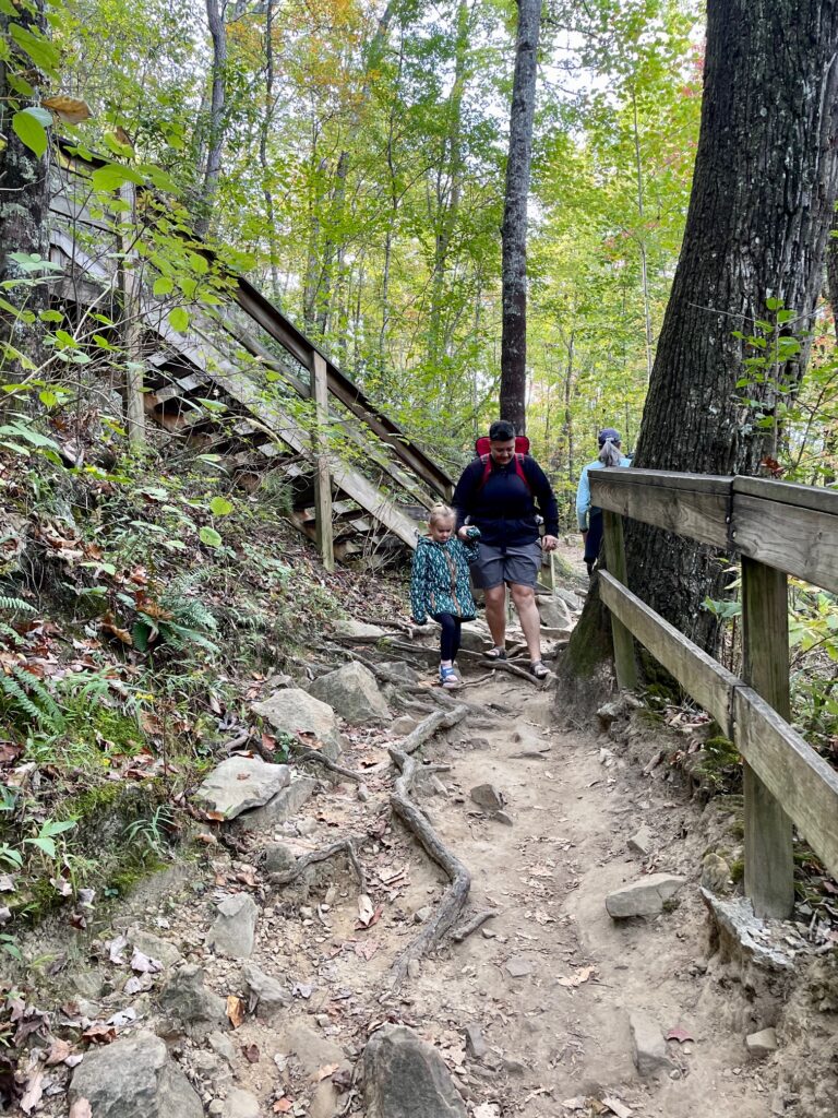 Cloudland Canyon State Park