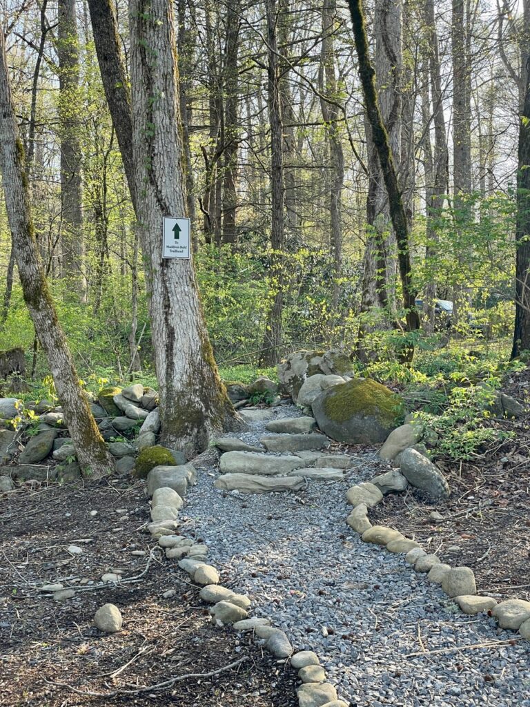 Maddron Bald Trail