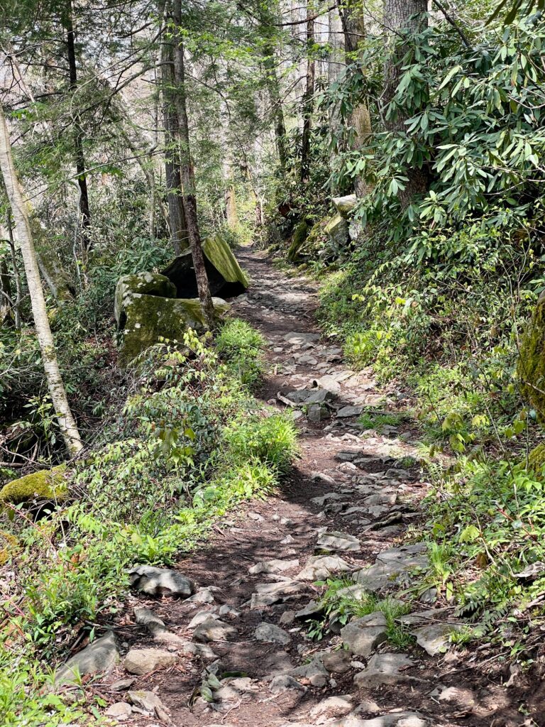 Porters Creek Trail