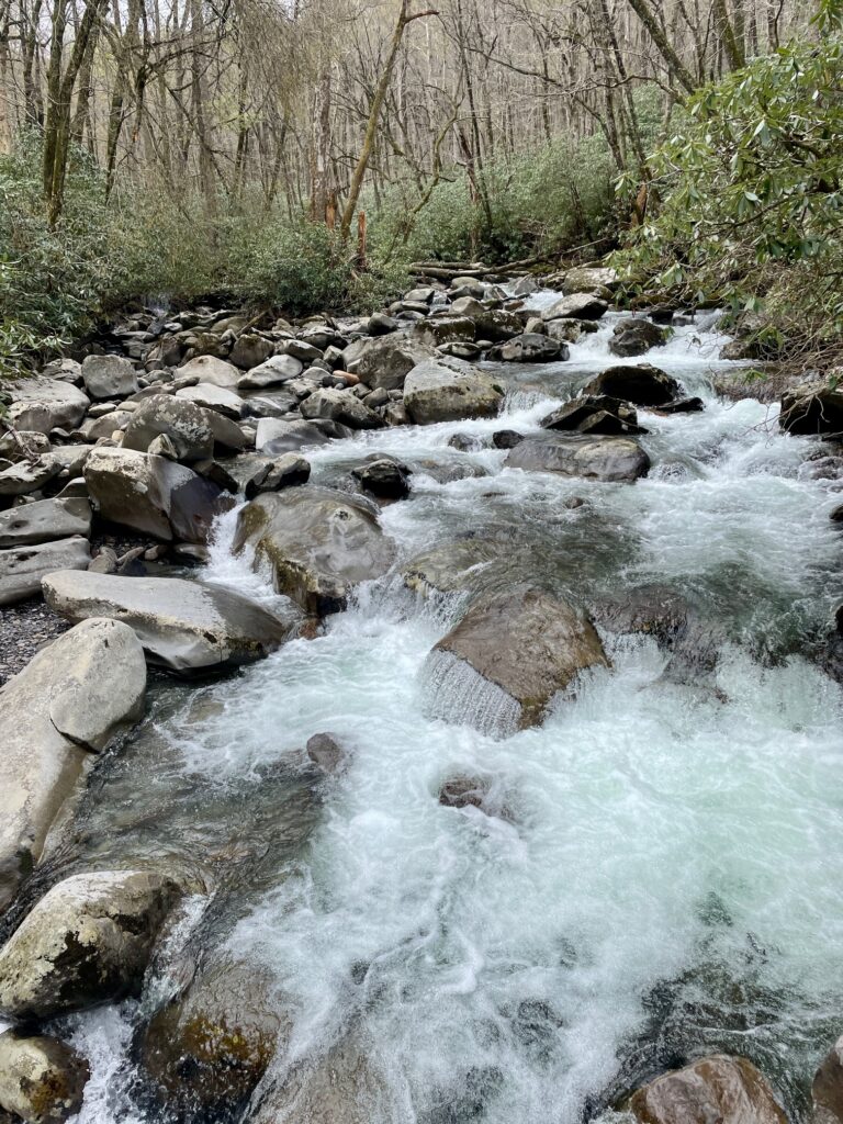 Porters Creek Trail
