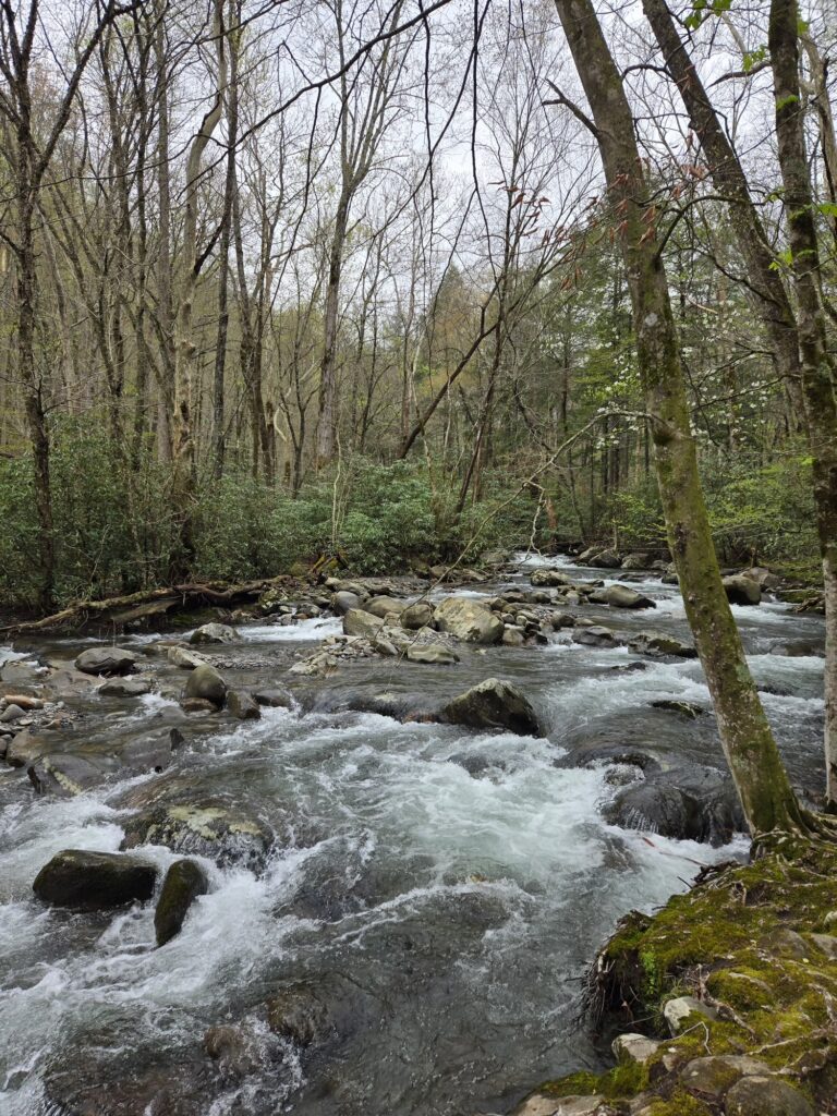 Porters Creek Trail