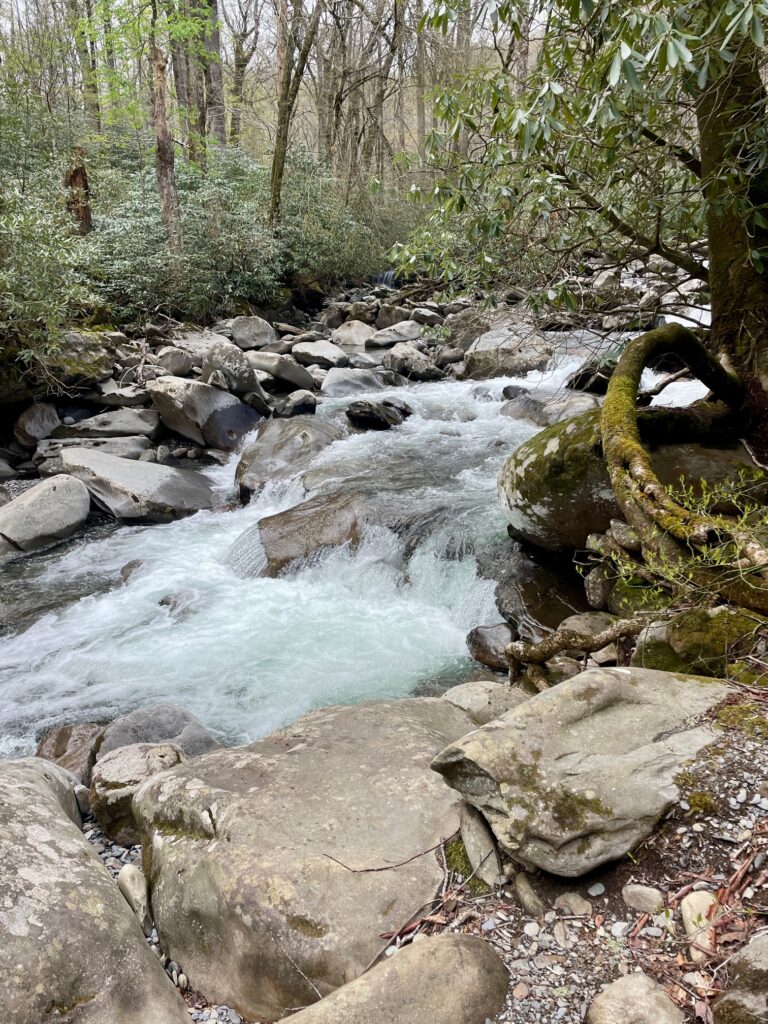 Porters Creek Trail