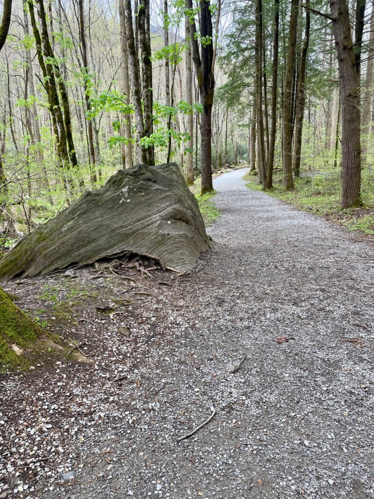 Porters Creek Trail