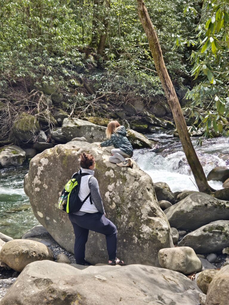 Porters Creek Trail