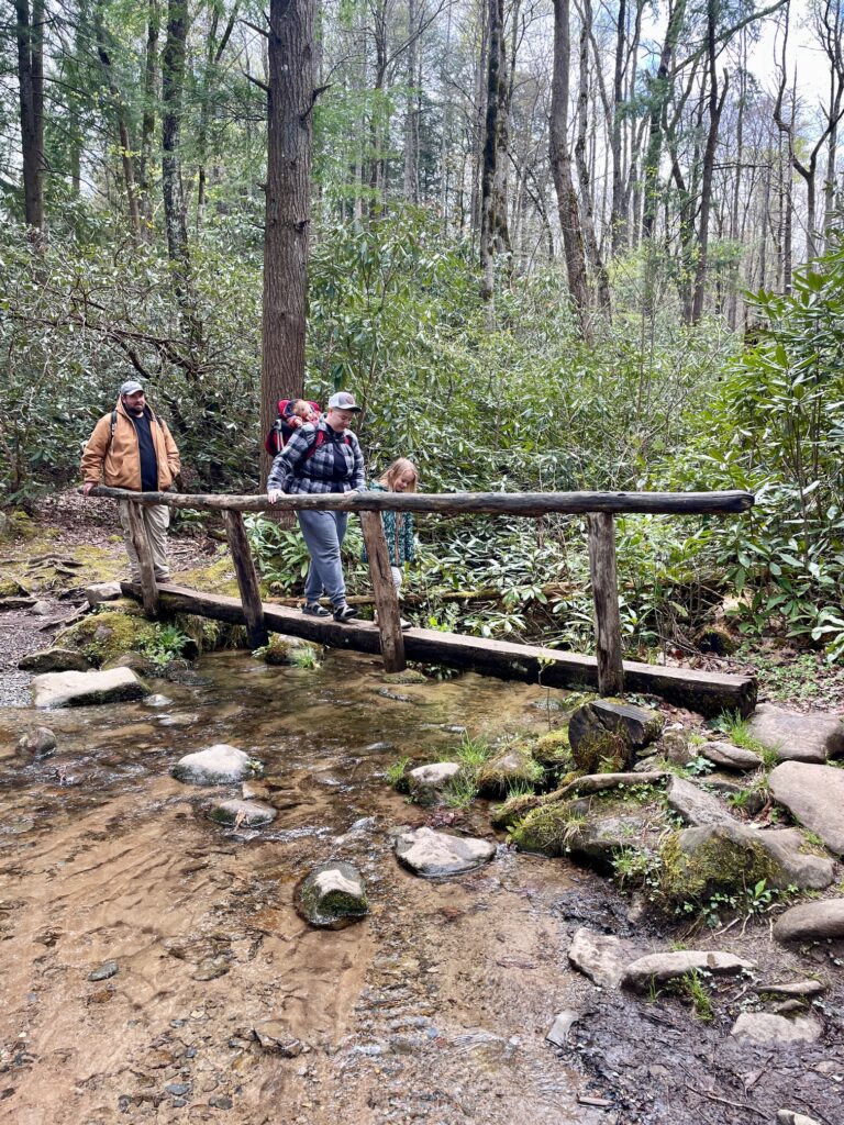 Porters Creek Trail