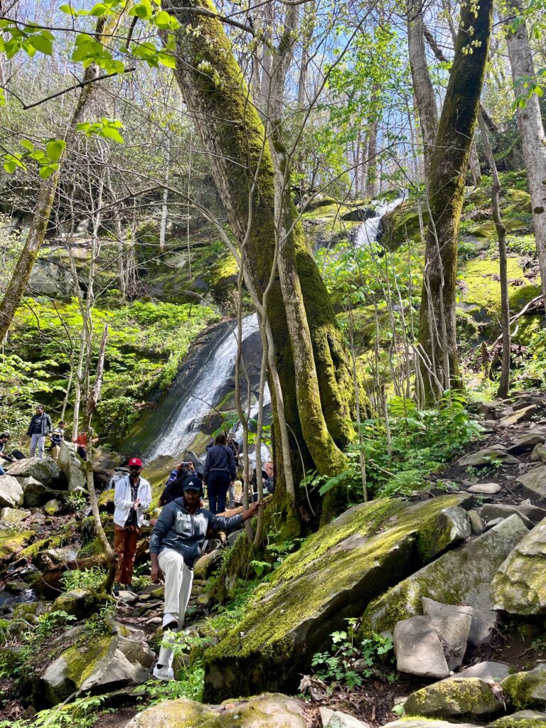 Porters Creek Trail