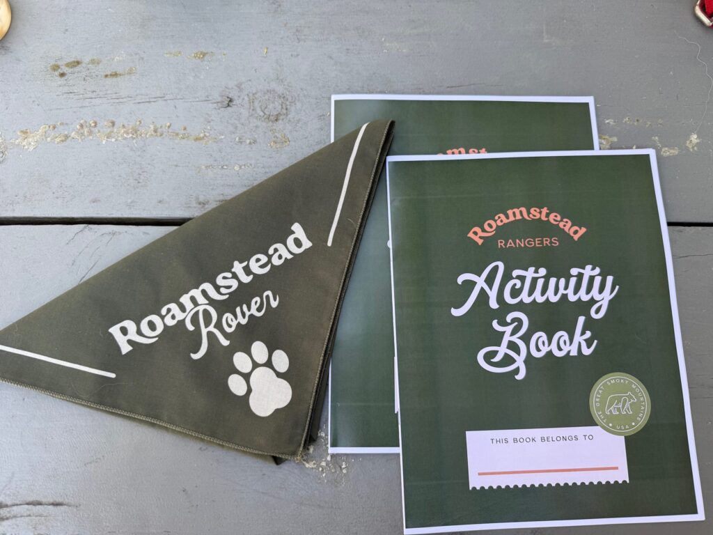 Roamstead Smoky Mountains Campground activity book