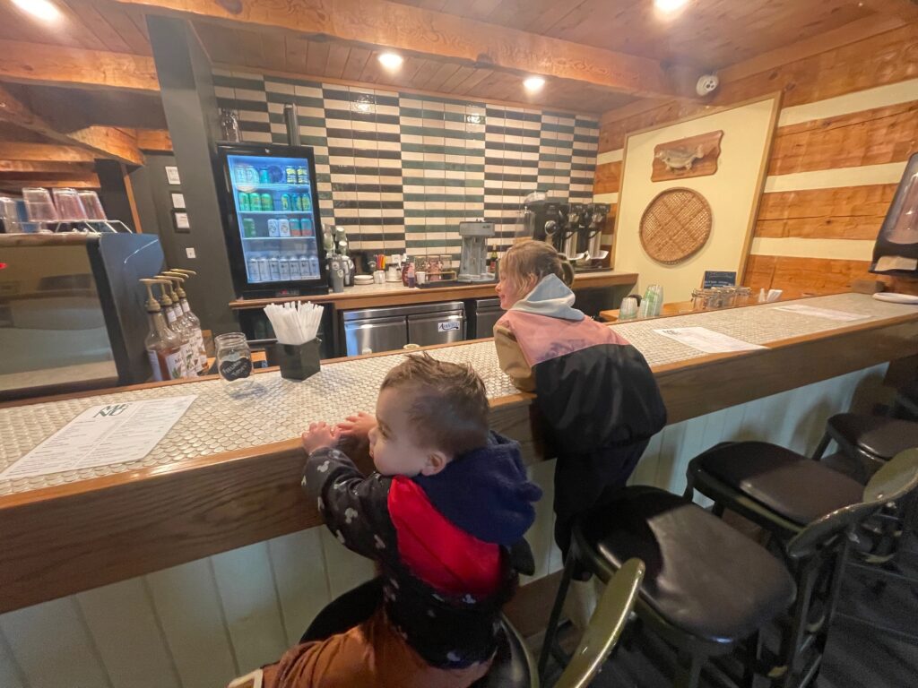 Roamstead Smoky Mountains Campground bar
