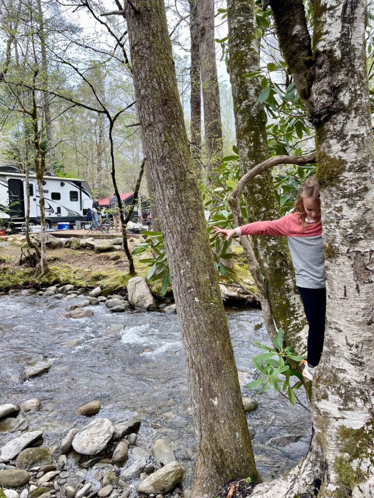 Roamstead Smoky Mountains Campground site 40