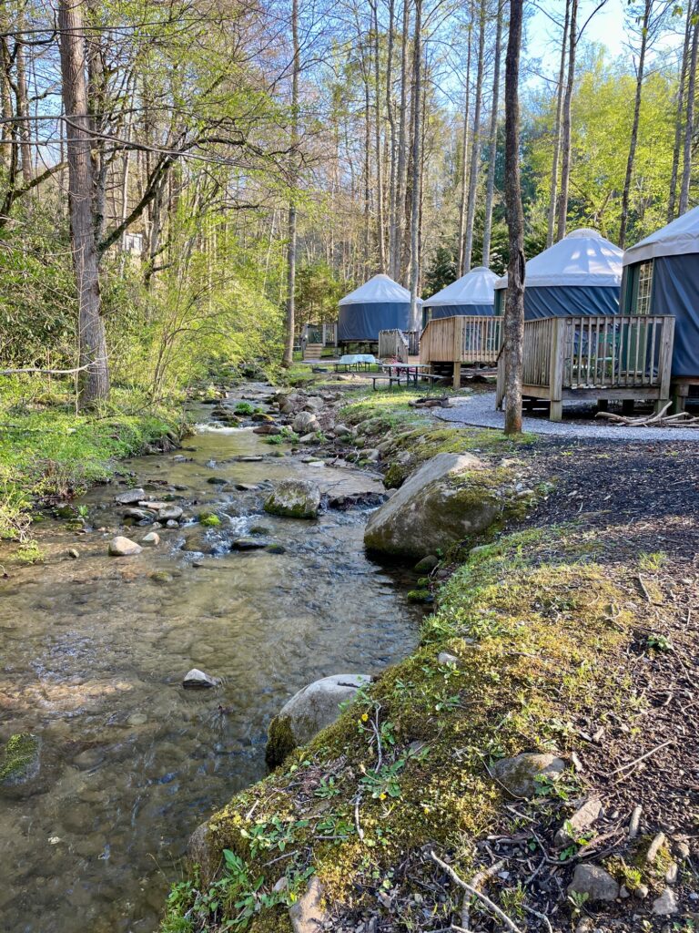 Roamstead Smoky Mountains Campground yurts