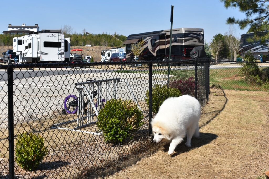 Talona Ridge RV Resort dog park