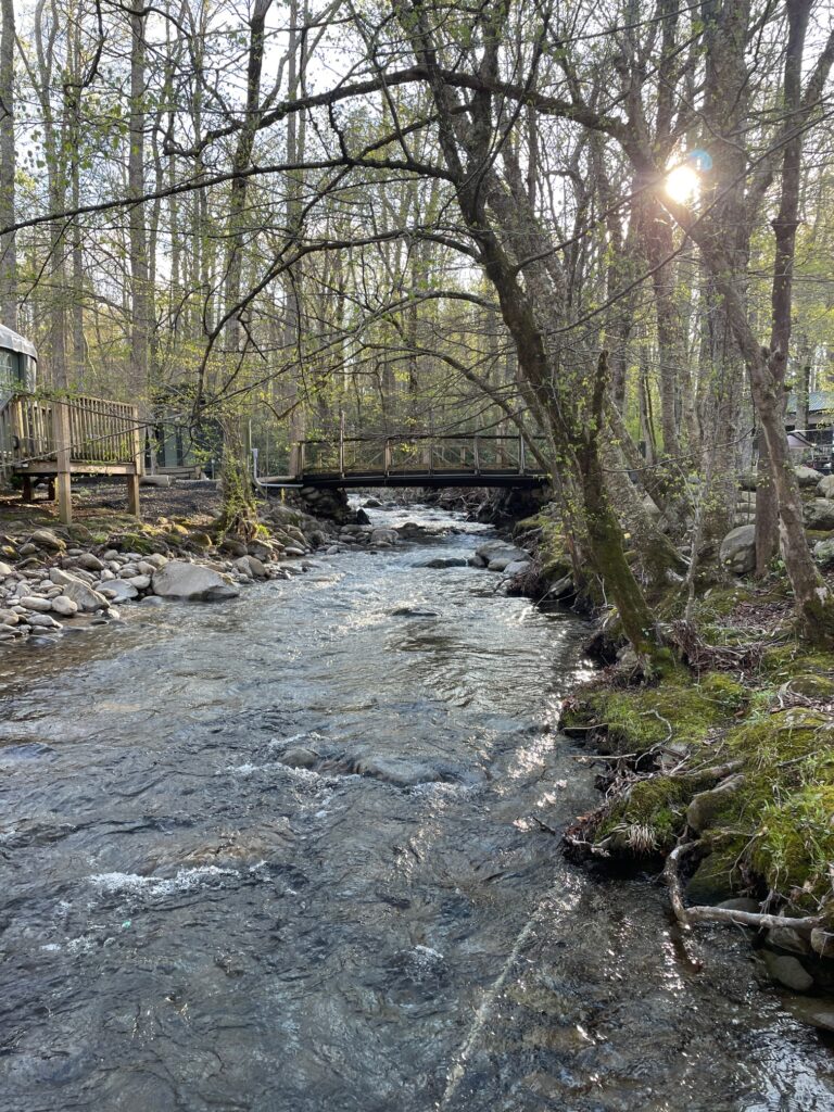Roamstead Smoky Mountains Campground