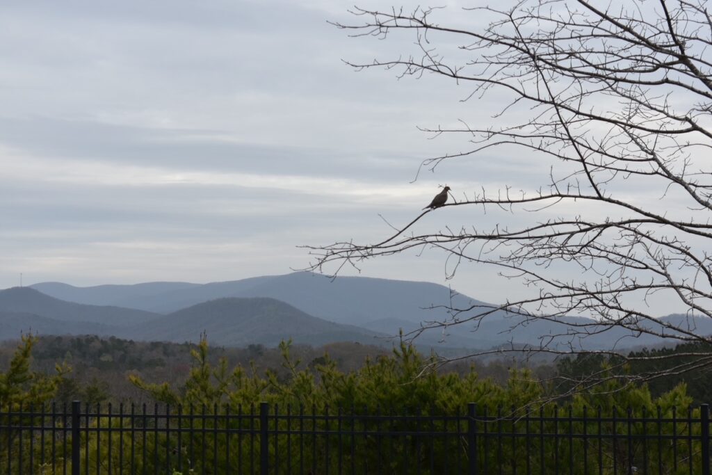 Talona Ridge RV Resort