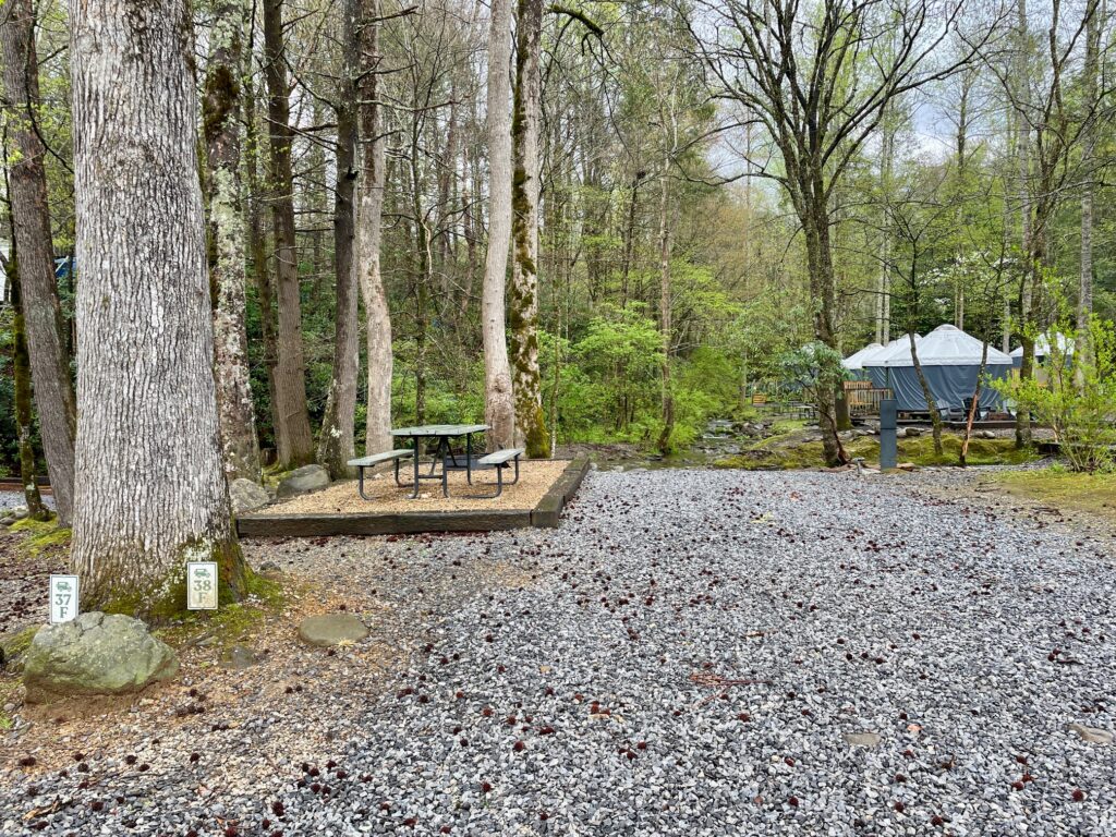 Roamstead Smoky Mountains Campground site 39