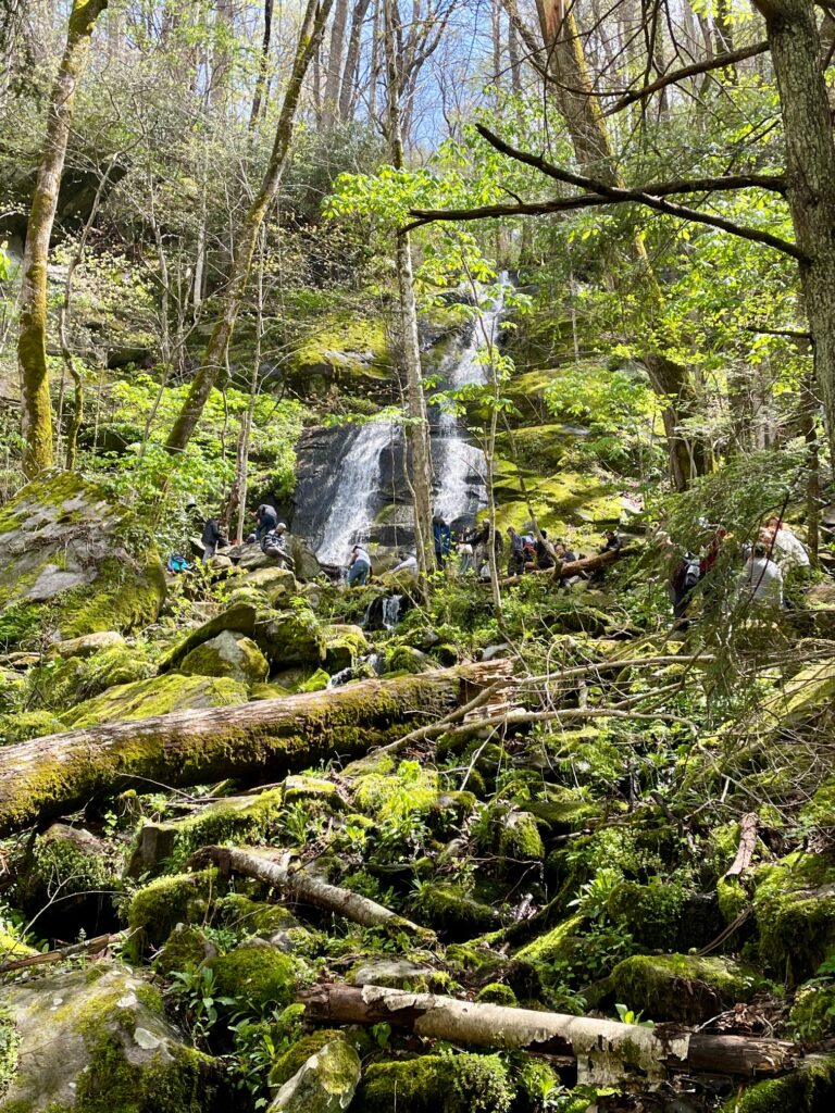 Porters Creek Trail