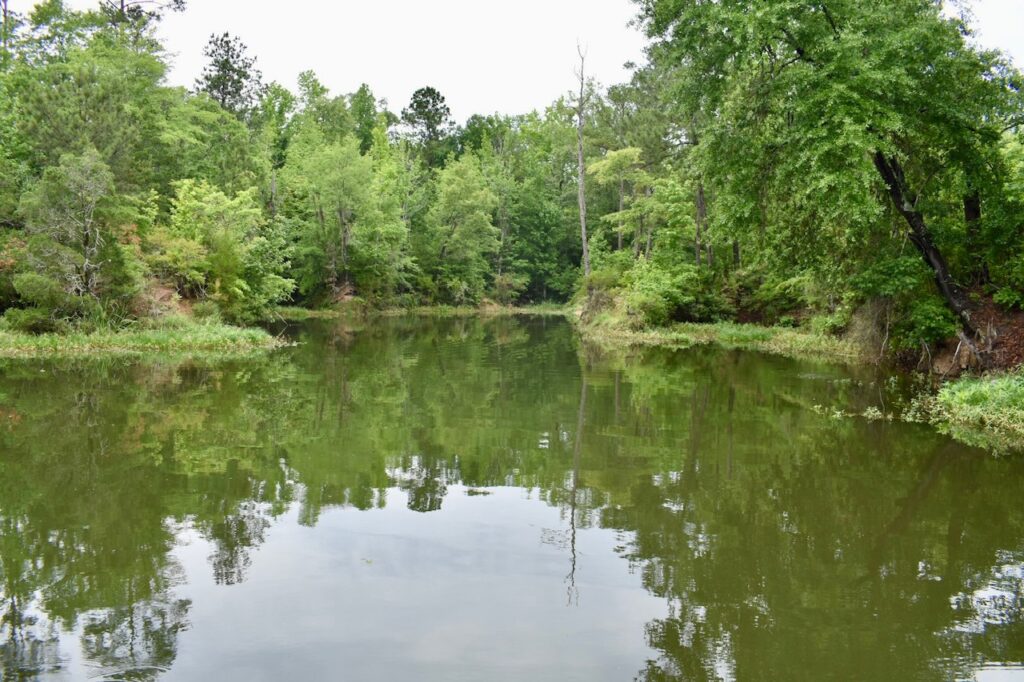 Florence Marina State Park