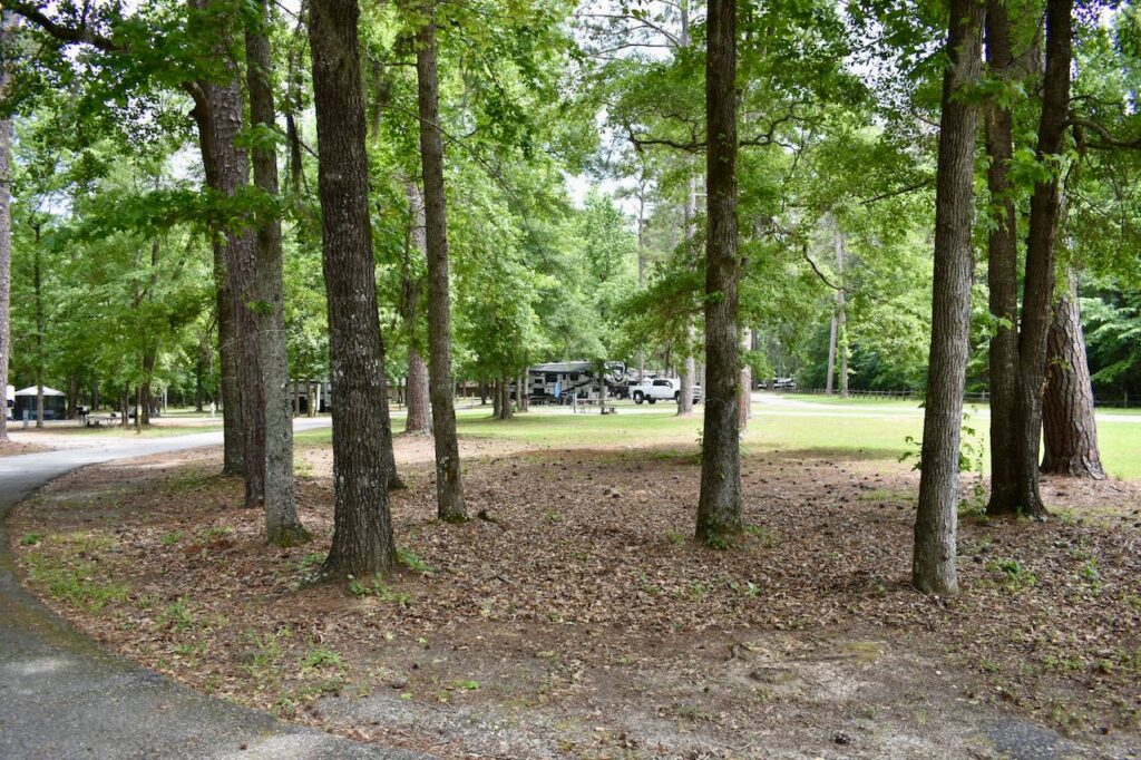 Florence Marina State Park site 24