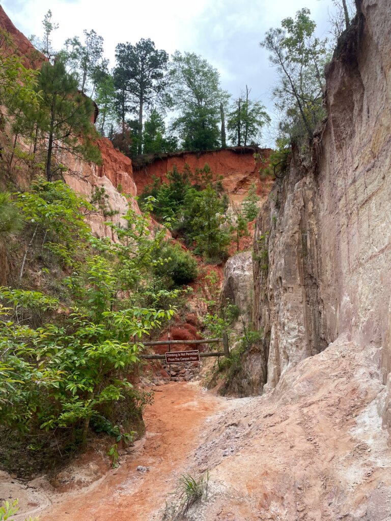 Providence Canyon State Park