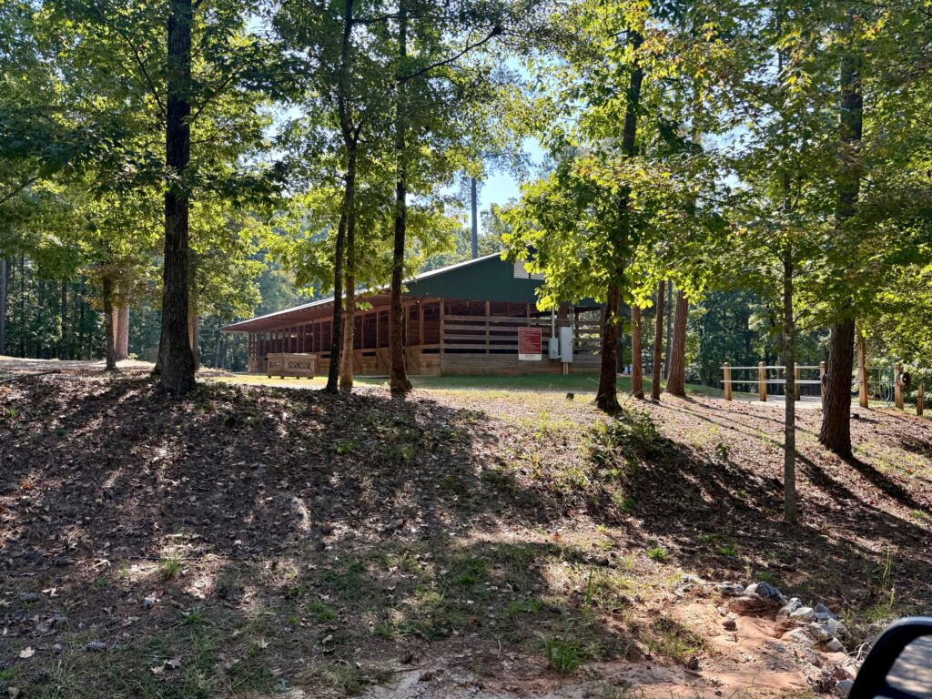 A. H. Stephens State Park horses