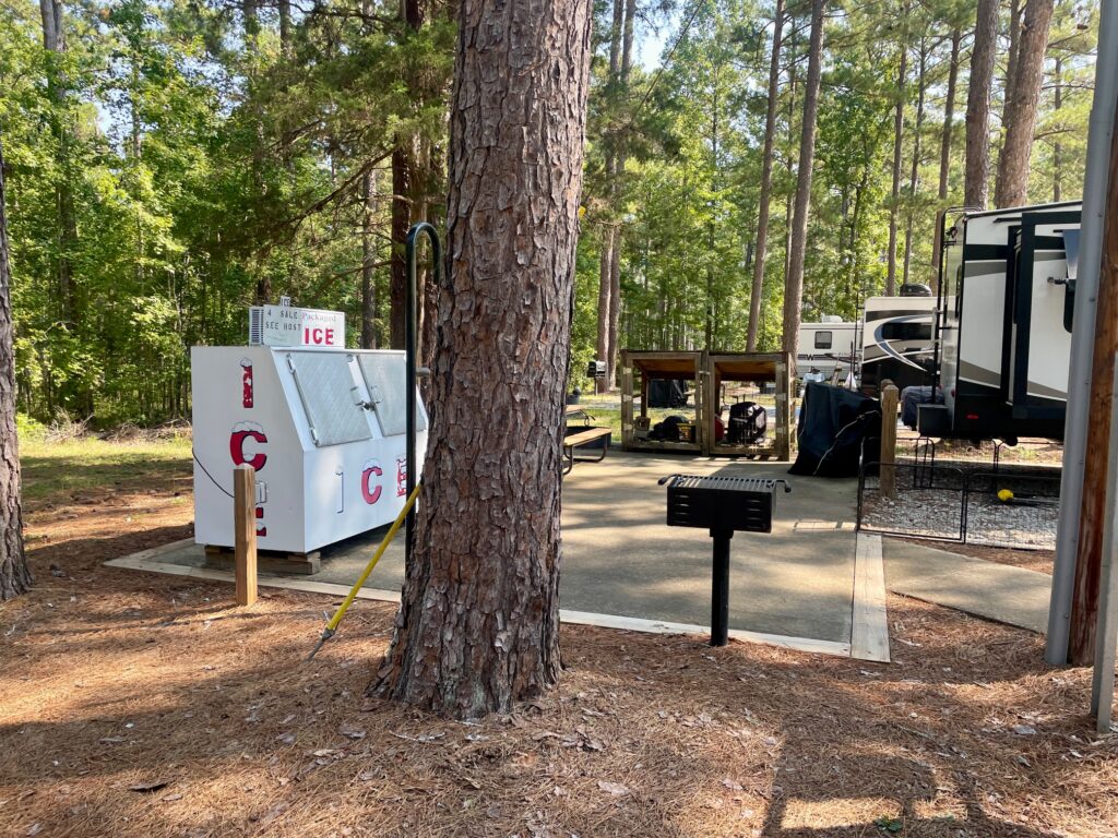 firewood ice A. H. Stephens State Park
