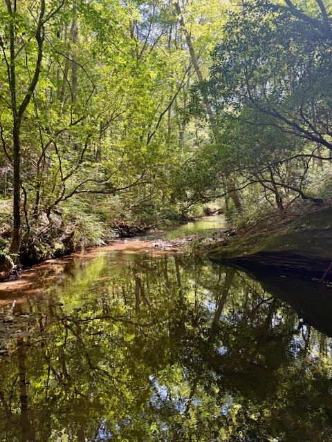 Love Adventures Hike