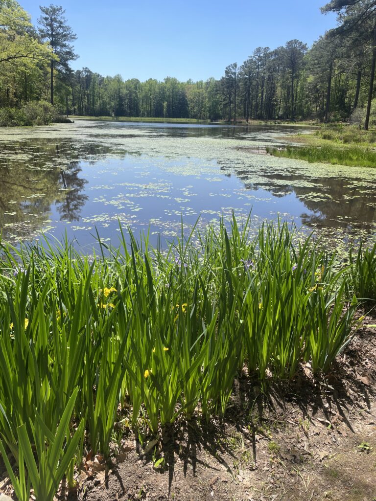 Callaway Gardens