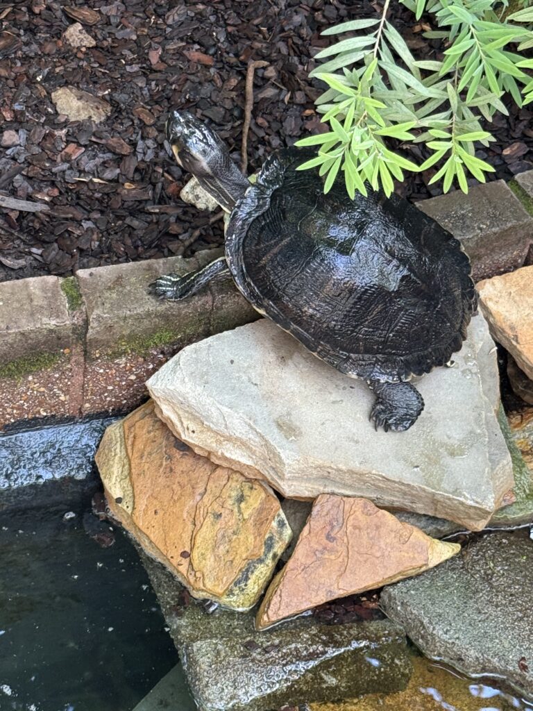 Callaway Gardens