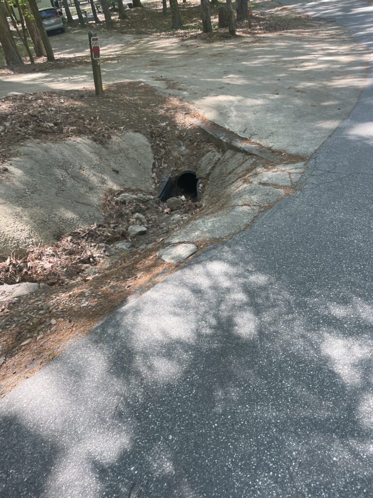 FDR State Park campground road