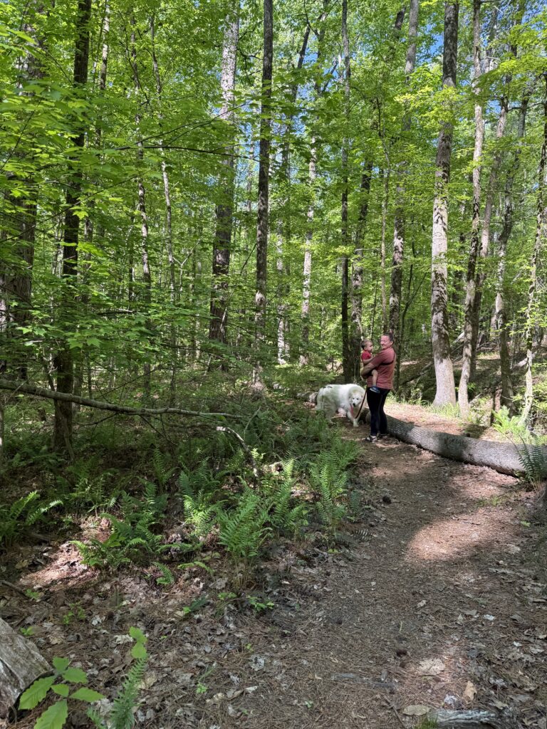 FDR State Park Delano Trail 