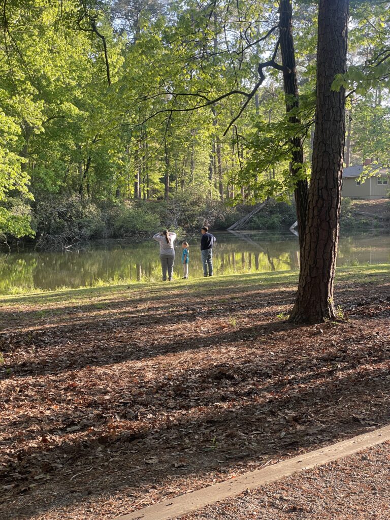 FDR State Park