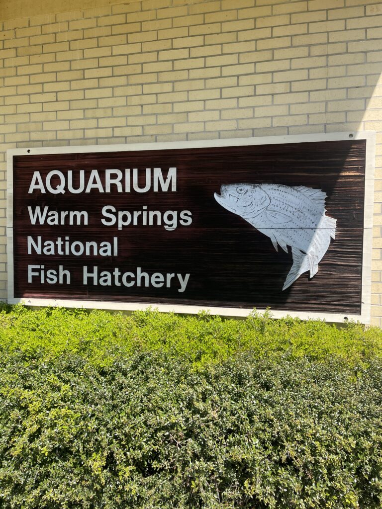 Fish Hatchery