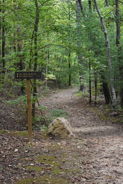 Gee Creek Falls Trail