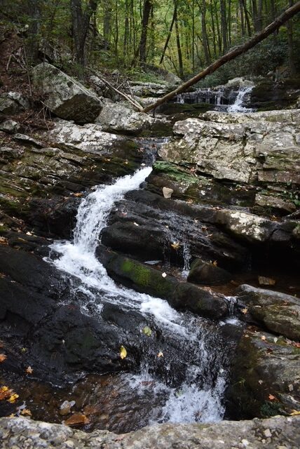 Gee Creek Falls Trail