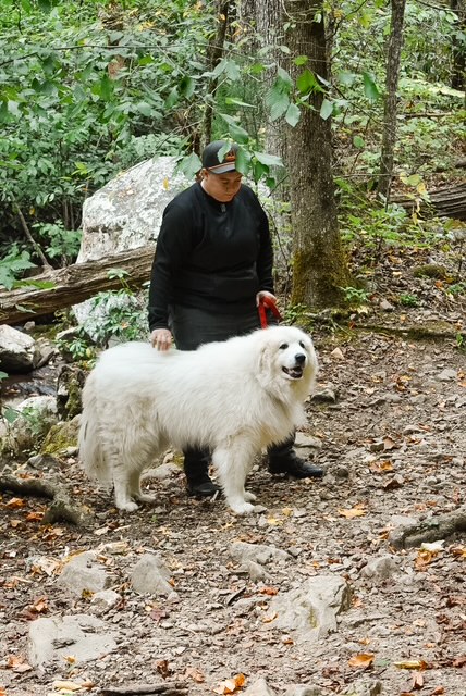 Gee Creek Falls Trail