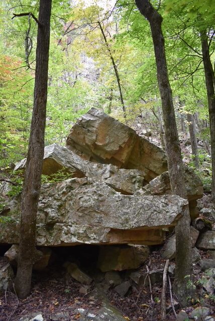 Gee Creek Falls Trail
