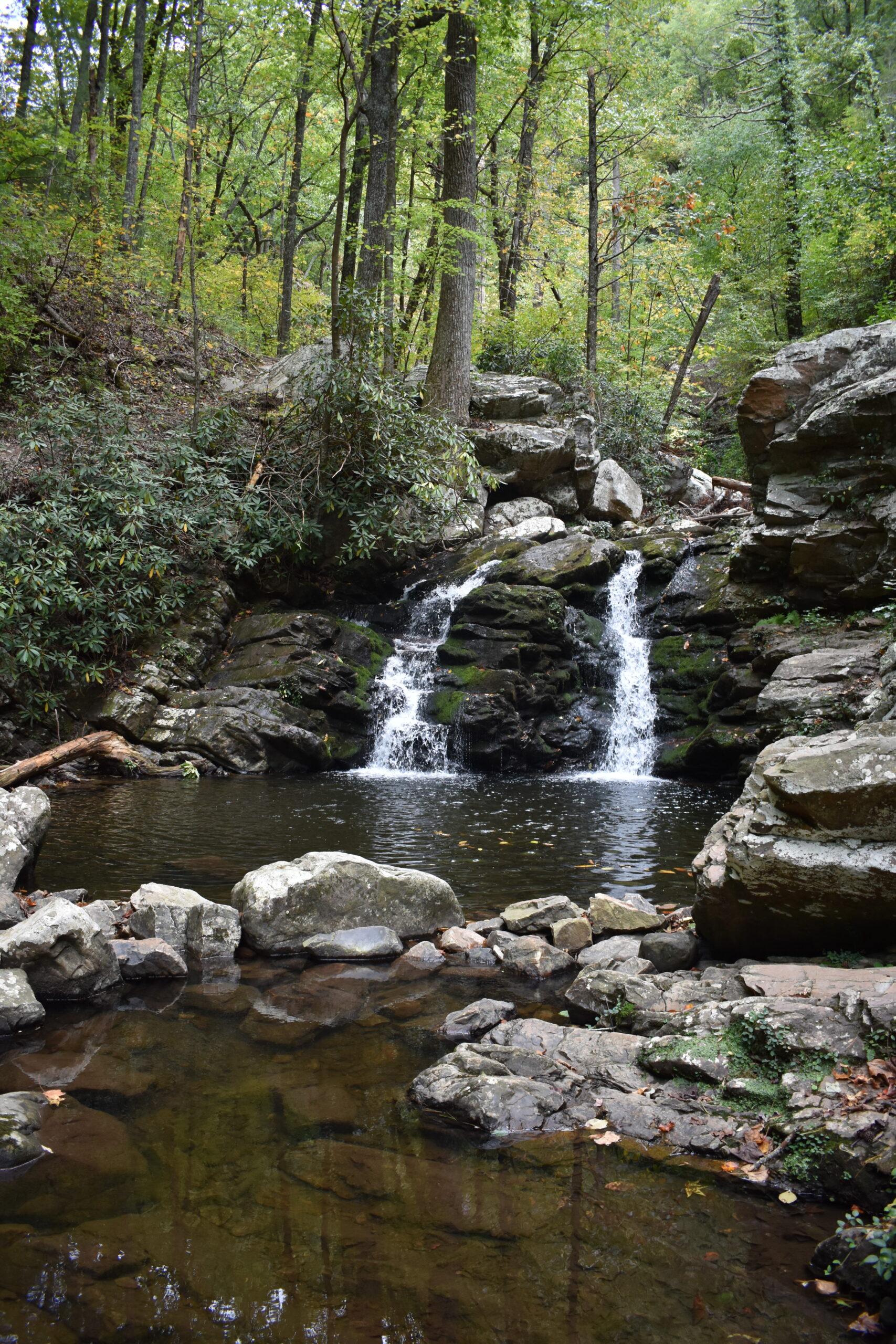Gee Creek Falls Trail