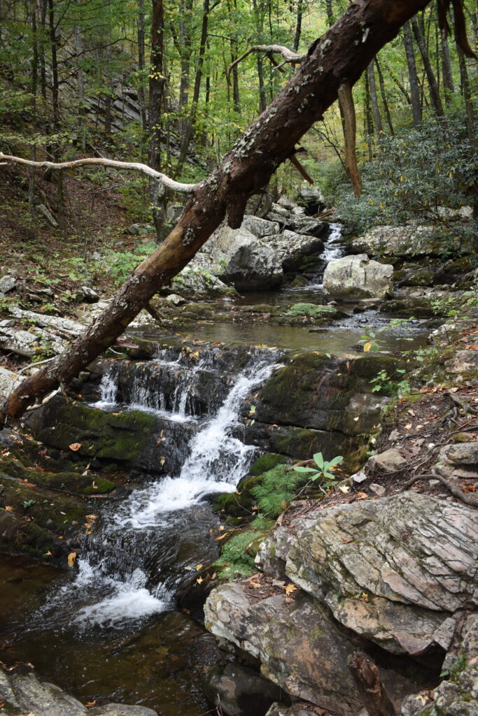 Gee Creek Falls Trail