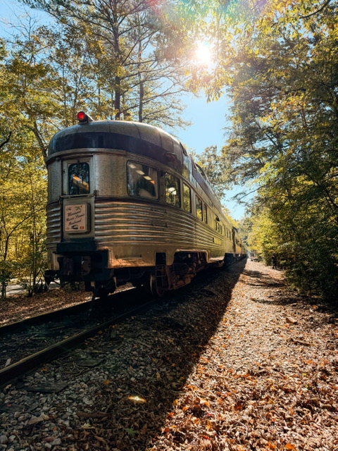 Tennessee Valley Railroad