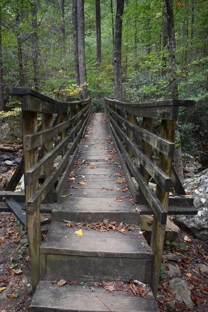 Gee Creek Falls Trail