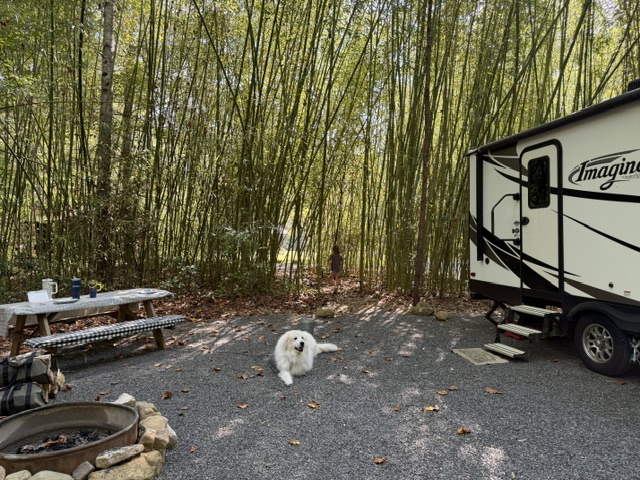 Fireside Outpost campsite 3