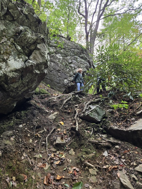 Gee Creek Falls Trail
