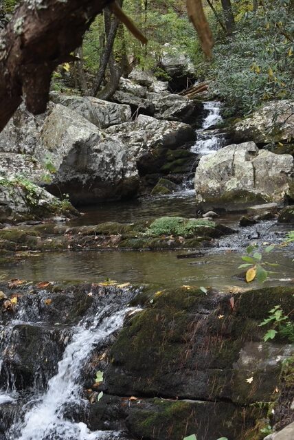 Gee Creek Falls Trail